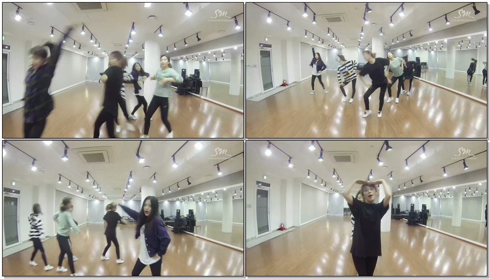 Red Velvet 레드벨벳_Rookie_Dance Practice ver.
