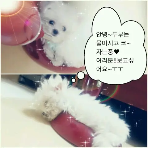 [From. SEOHYUN] 안녕~!!