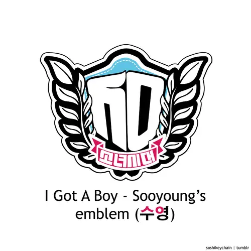 소녀시대(Girls’ Generation) I Got A Boy 멤버별 엠블렘.jpg