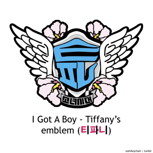 소녀시대(Girls’ Generation) I Got A Boy 멤버별 엠블렘.jpg