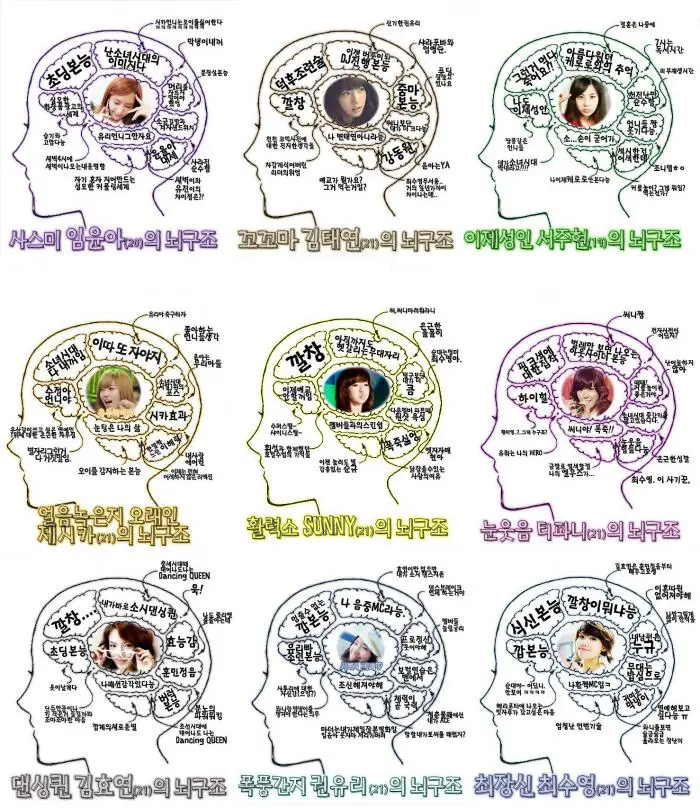 소녀시대의 두뇌 구조 다시 화제