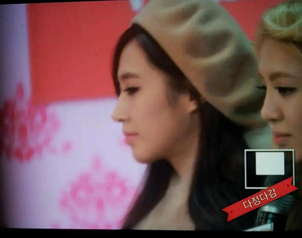 [preview] 소녀시대(SNSD) 직찍 :: 130105 Naver Concert