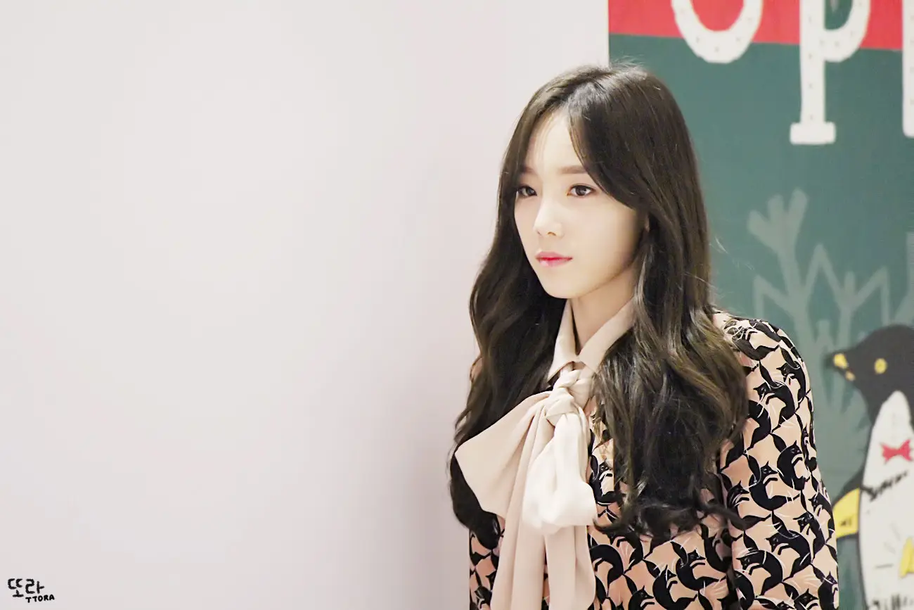 141127 수원 롯데몰 팬사인회 태연 직찍 by 또라