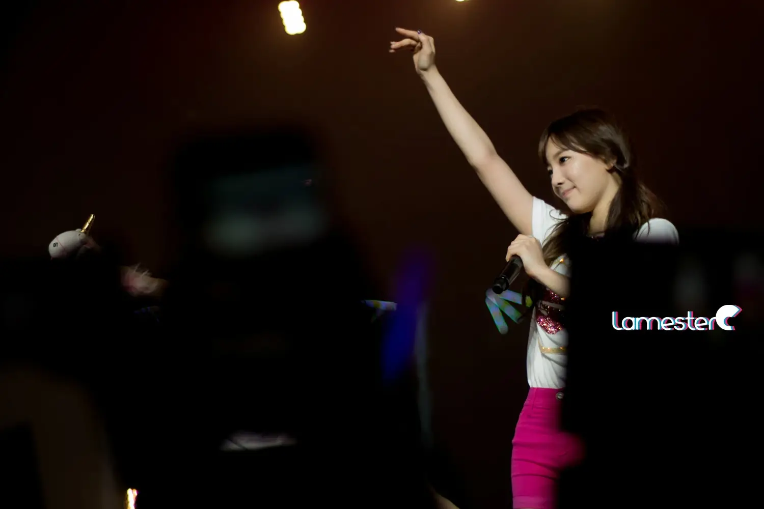 131012 싱가폴콘서트 태연 직찍 by 태로로,LamesterC