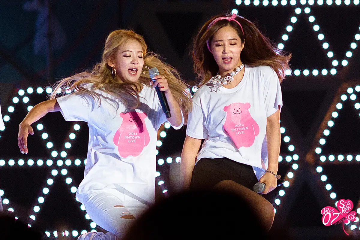 140815 SM 콘서트 소녀시대 직찍 by sosirang