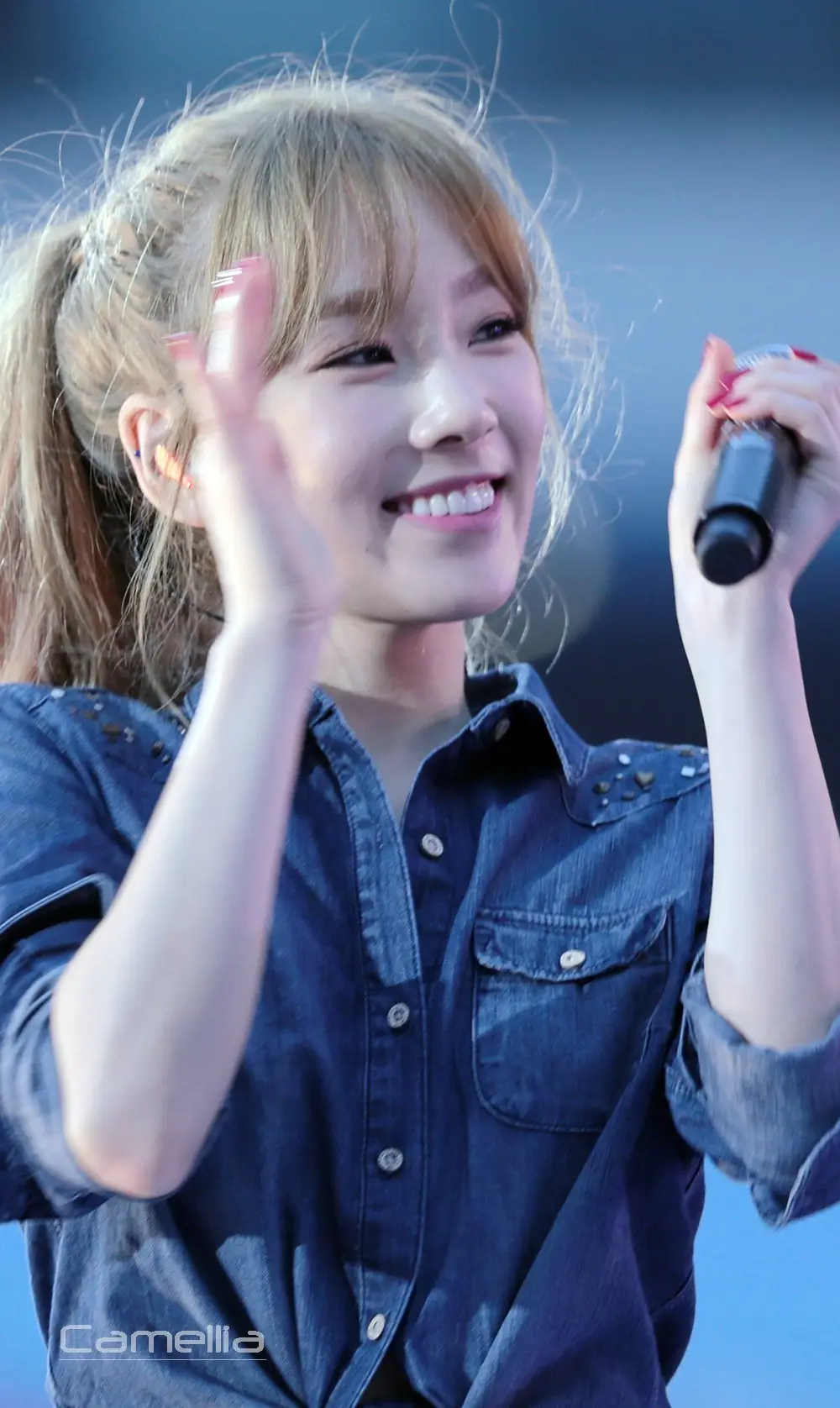 태연 직찍 - 140815 SM콘서트 [by tangel's tale,Camellia]