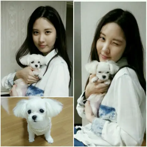 [From. SEOHYUN] 두부 소식♥