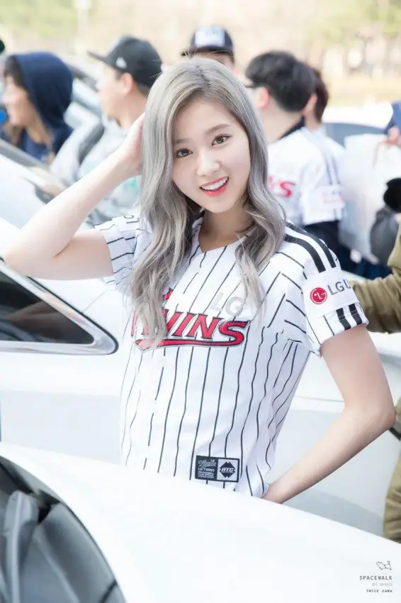 회색머리 사나