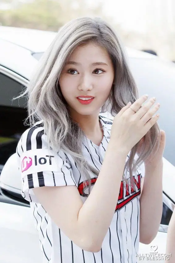 회색머리 사나