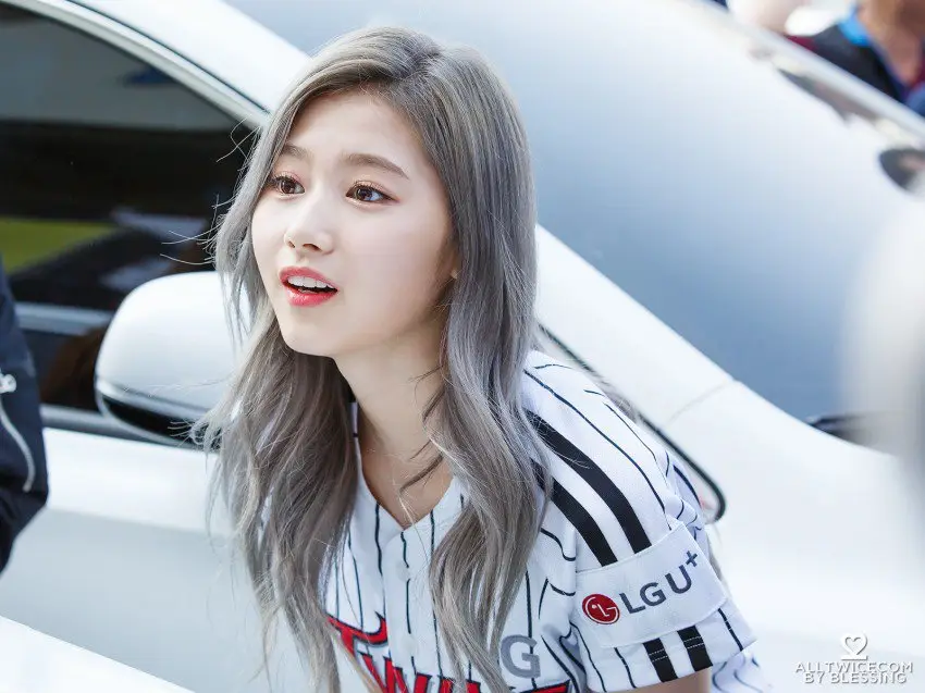 회색머리 사나