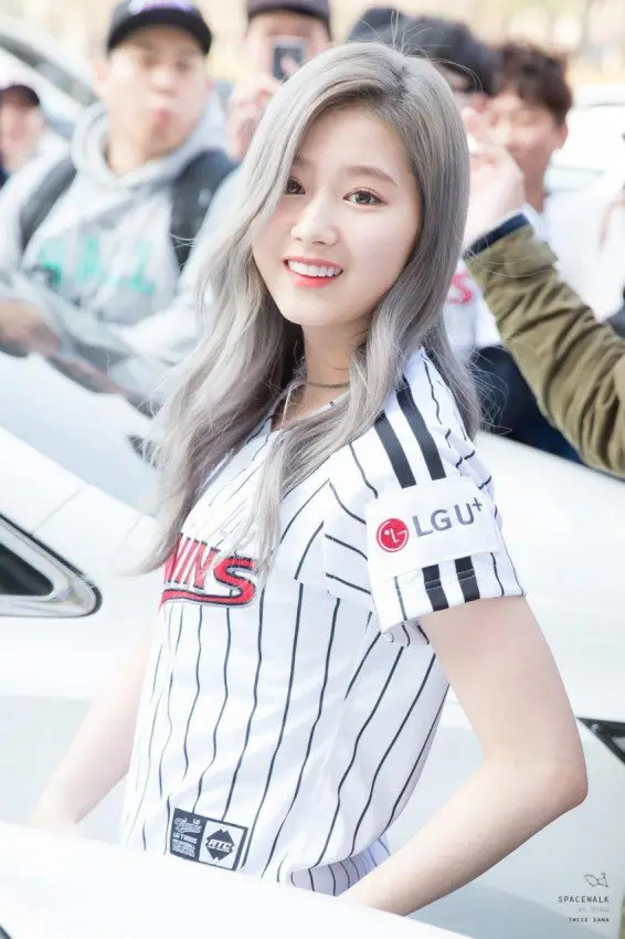 회색머리 사나