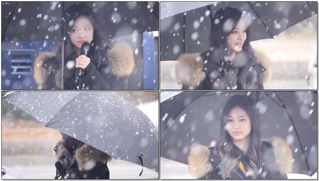 161126 트와이스 (TWICE) 눈내리는 미니팬미팅 Mini FanMeeting [쯔위] Tzuyu 직캠 Fancam (상암프리즘타워 앞공원) by Mera