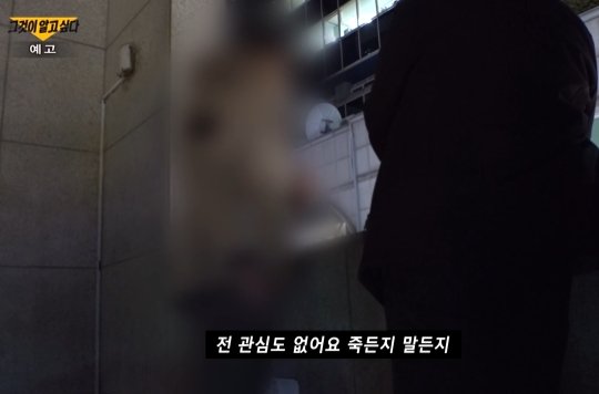 '그것이 알고싶다' 직접 만난 설리 악플러 