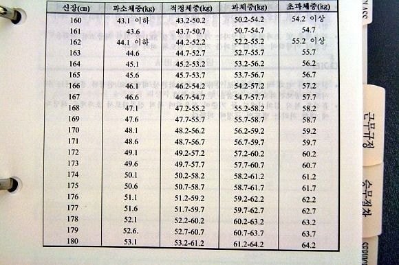 아시아나 항공 스튜어디스 적정체중 표