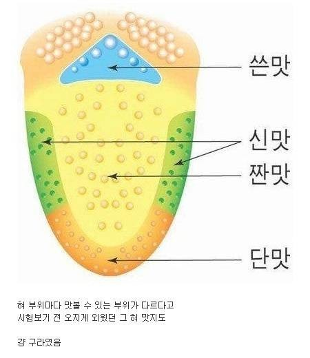 8,90년대생들 잘못 배운 과학 상식