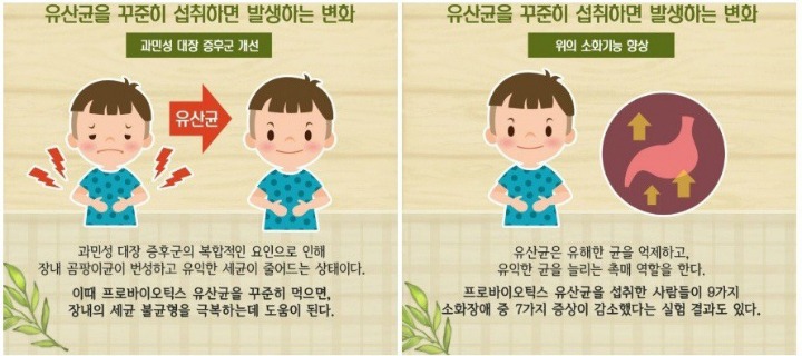 유산균을 먹어야 하는 이유