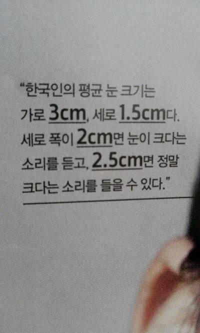 한국인 평균 눈 크기