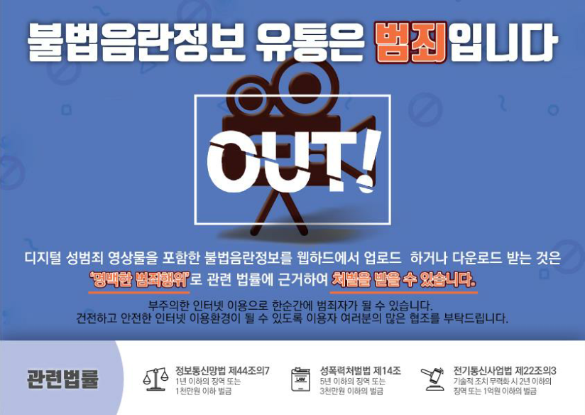 불법 음란물 유포해 1억원 넘는 수익 챙긴 30대 실형