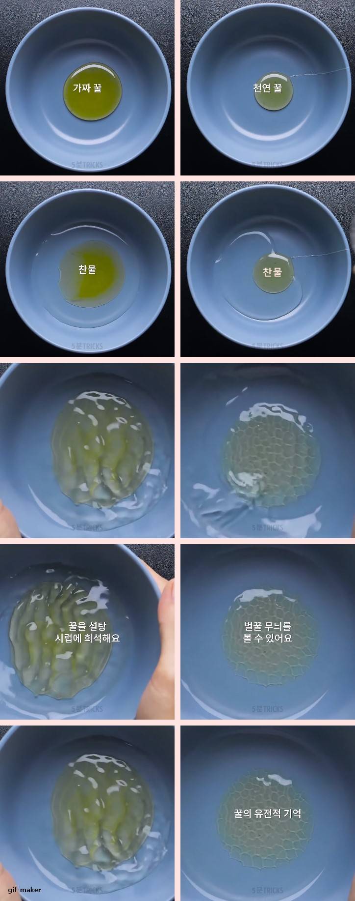 초간단 천연꿀 구별법