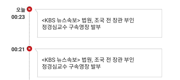 법원(송경호 판사), 정경심 교수 구속영장 발부
