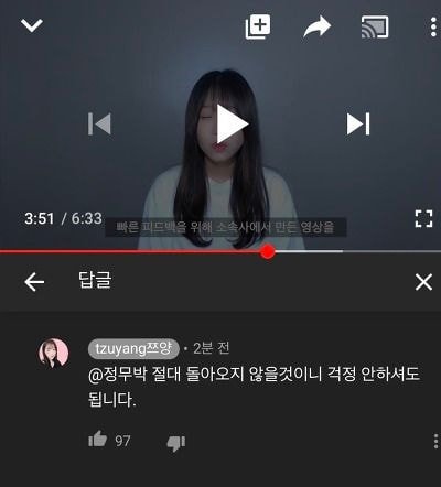 쯔양 악플러 태세전환