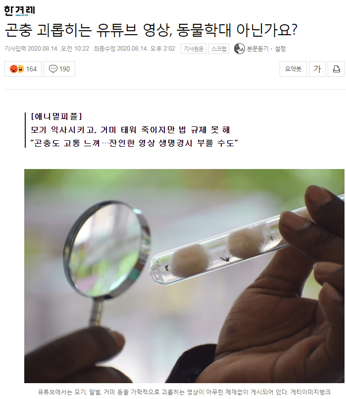 모기 학대 유튜버, 동물학대 논란에 영상 내림