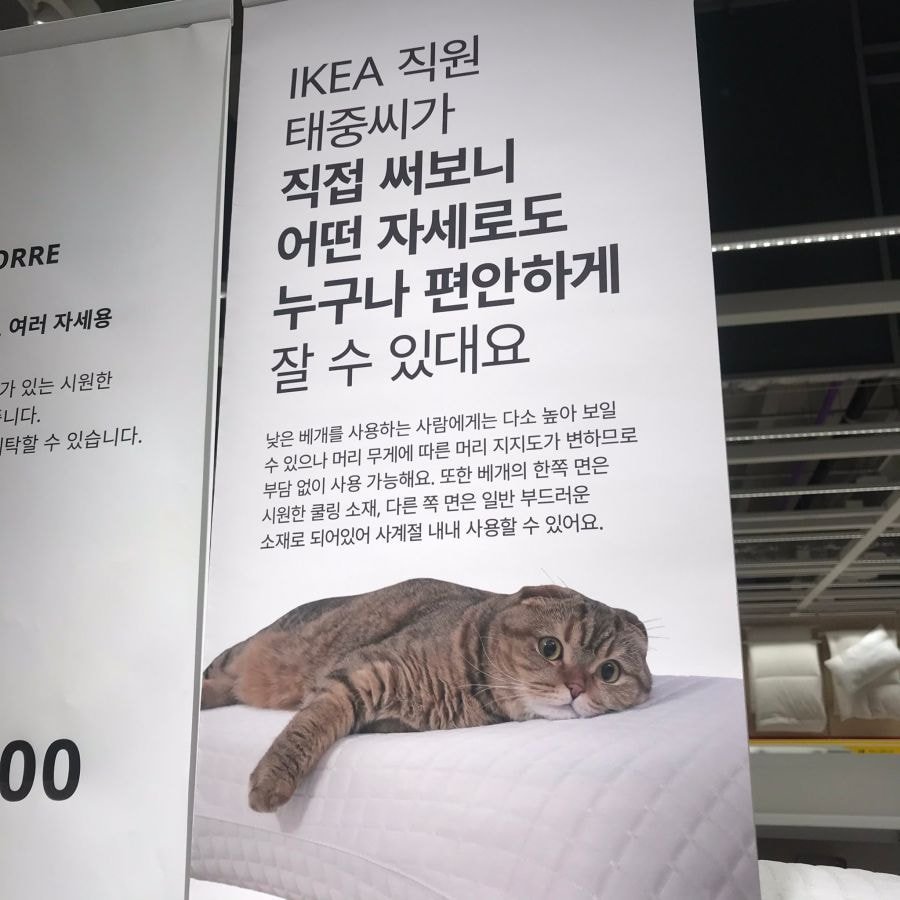 IKEA 직원 태중씨