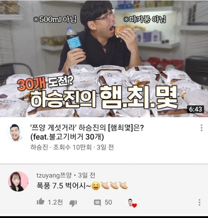 하승진 유튜브에 댓글 단 쯔양