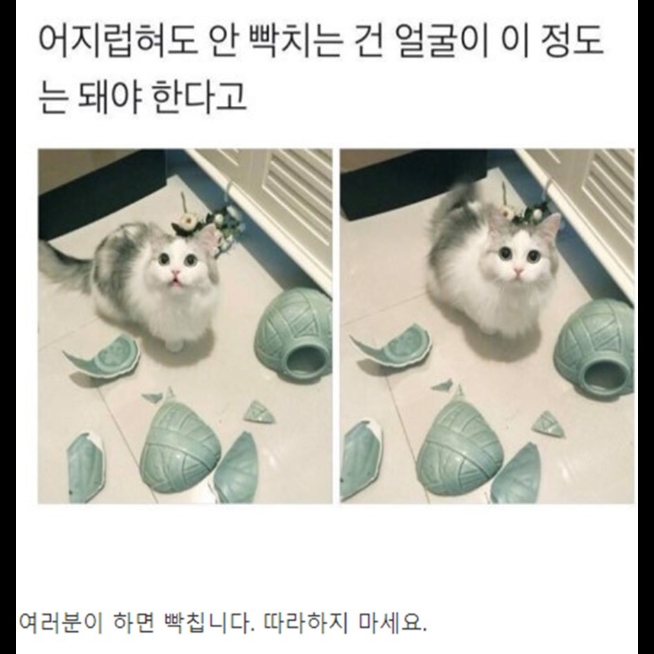 외모가 최고의 스펙인 이유