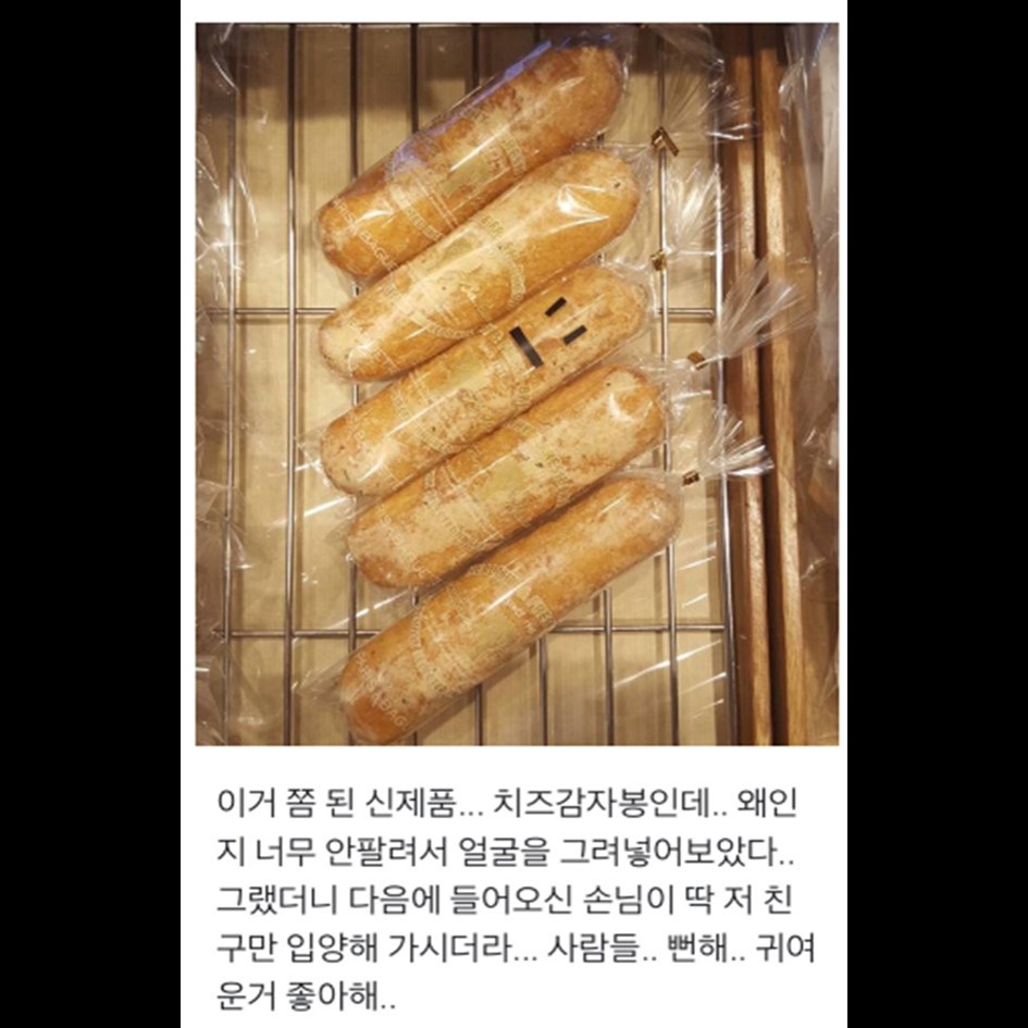 외모가 최고의 스펙인 이유