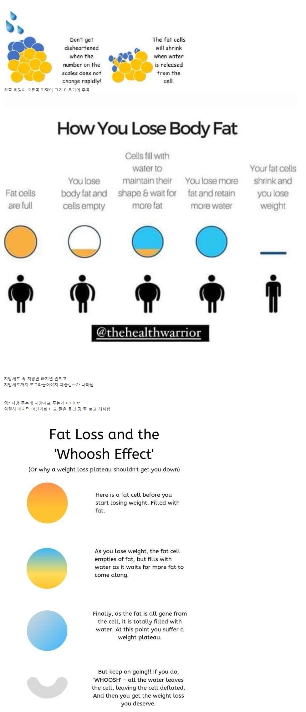 다이어트 하는데 몸무게가 오히려 늘어나는 이유?