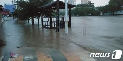 폭우로 난리난 대전.jpg