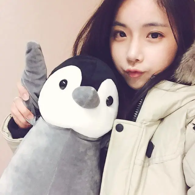 조현영(레인보우) 151125 인스타그램 - 내가정말펭귄을닮았나 ㅎㅎ