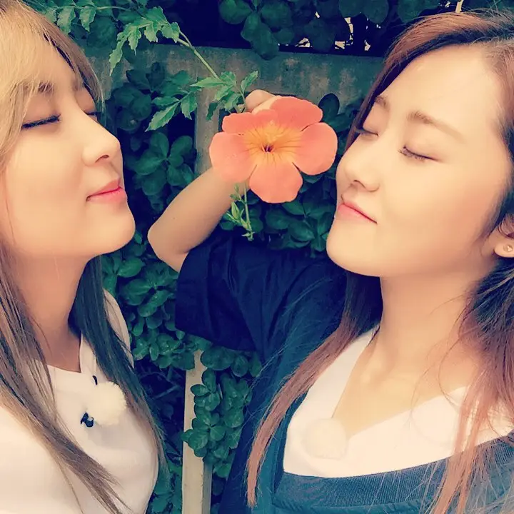 권소현(포미닛) 150803 인스타그램 - 소현 가윤 꽃