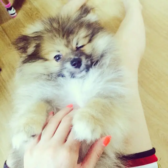 현아(포미닛) 150512 인스타그램 업뎃.jpg