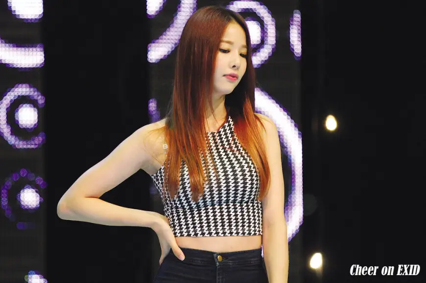 141006 EXID 단국대축제 직찍 by Cheer on EXID