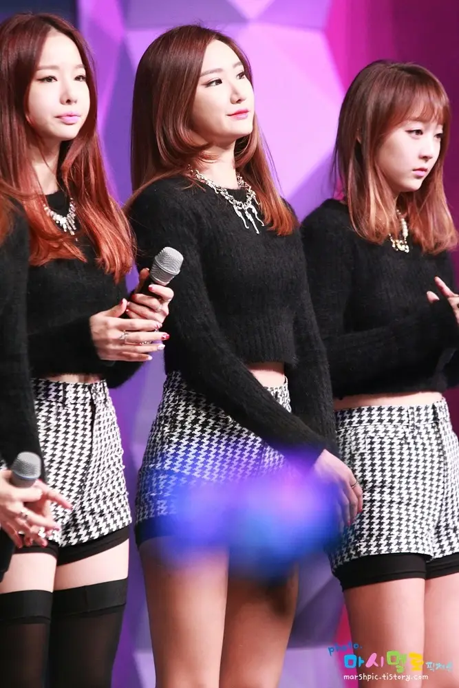 141225 EXID 코엑스 SAF 직찍 by 마시멜로