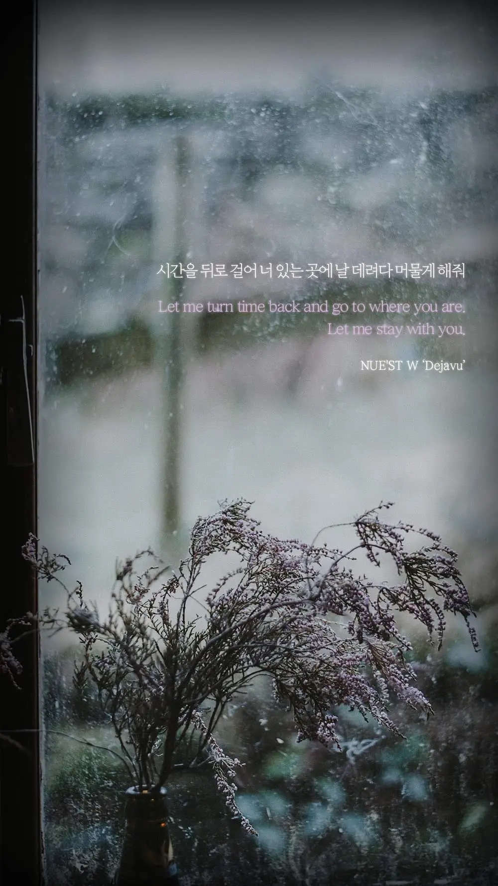 뉴이스트 w
