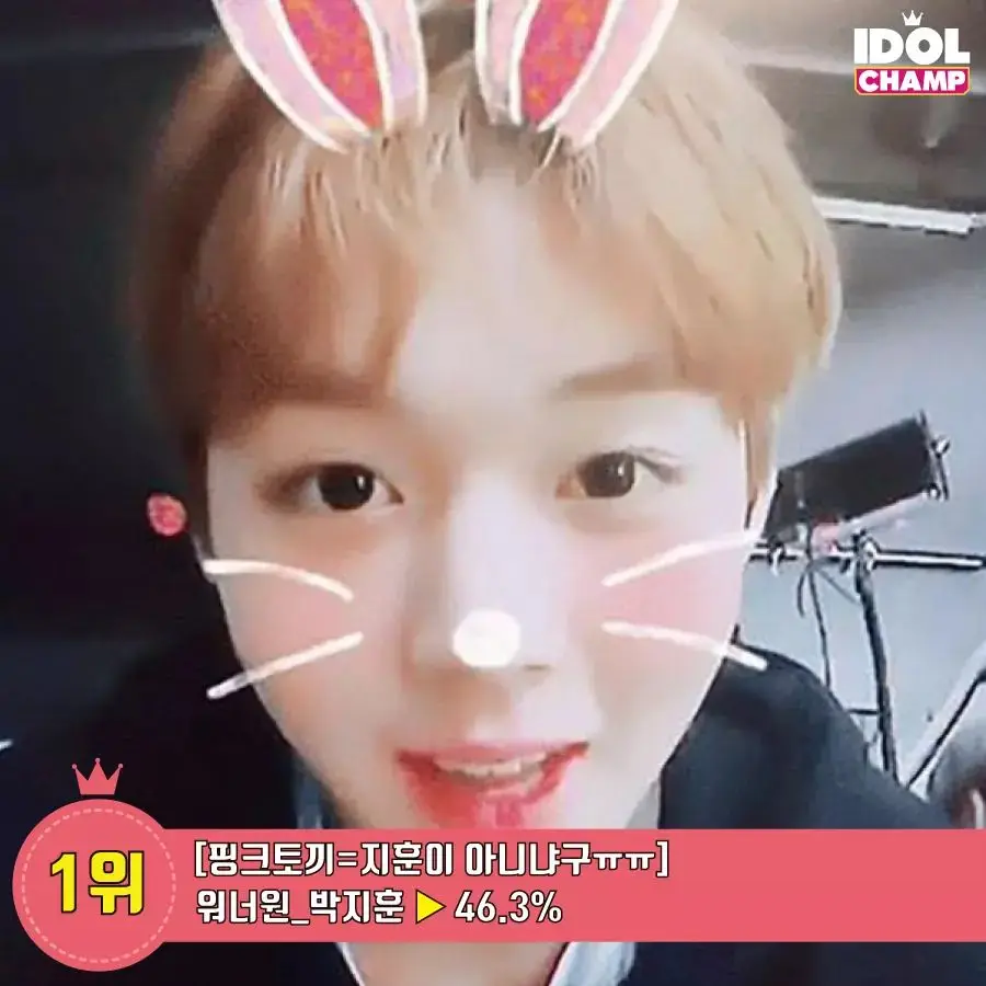 토끼
