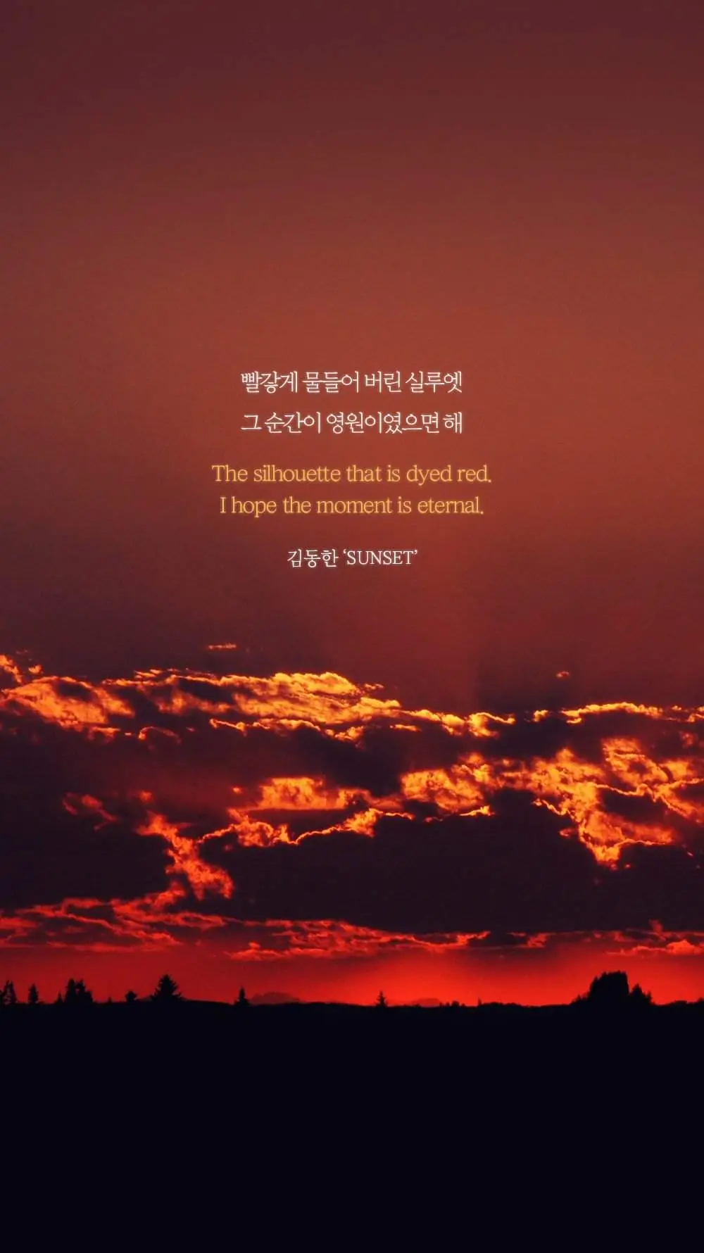김동한3