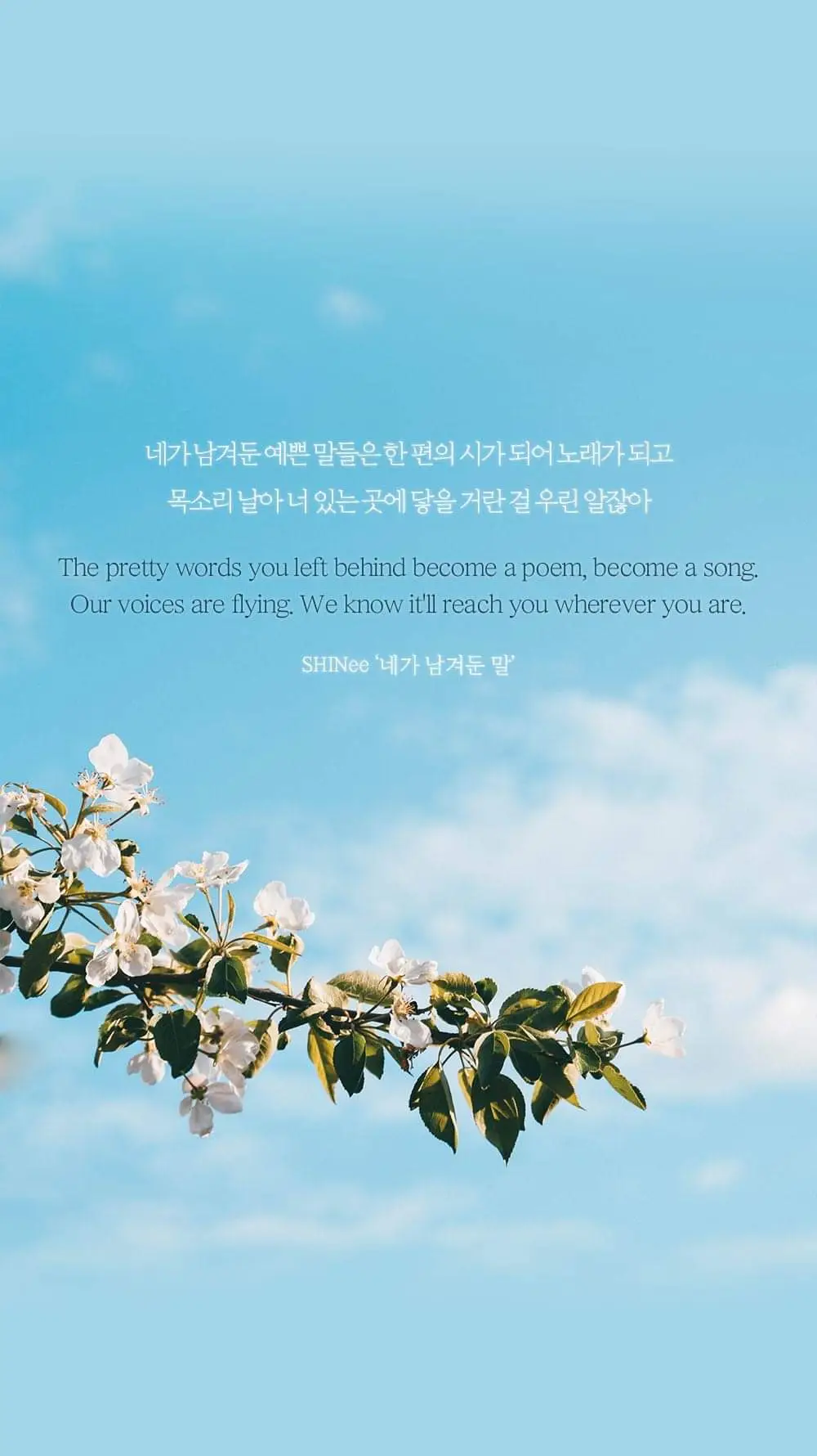 노래가사