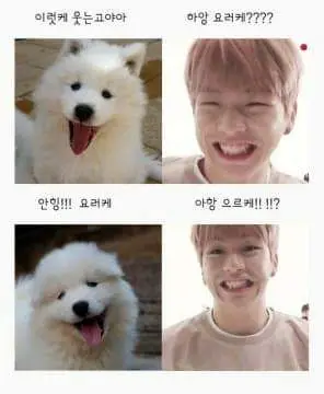 닮은꼴