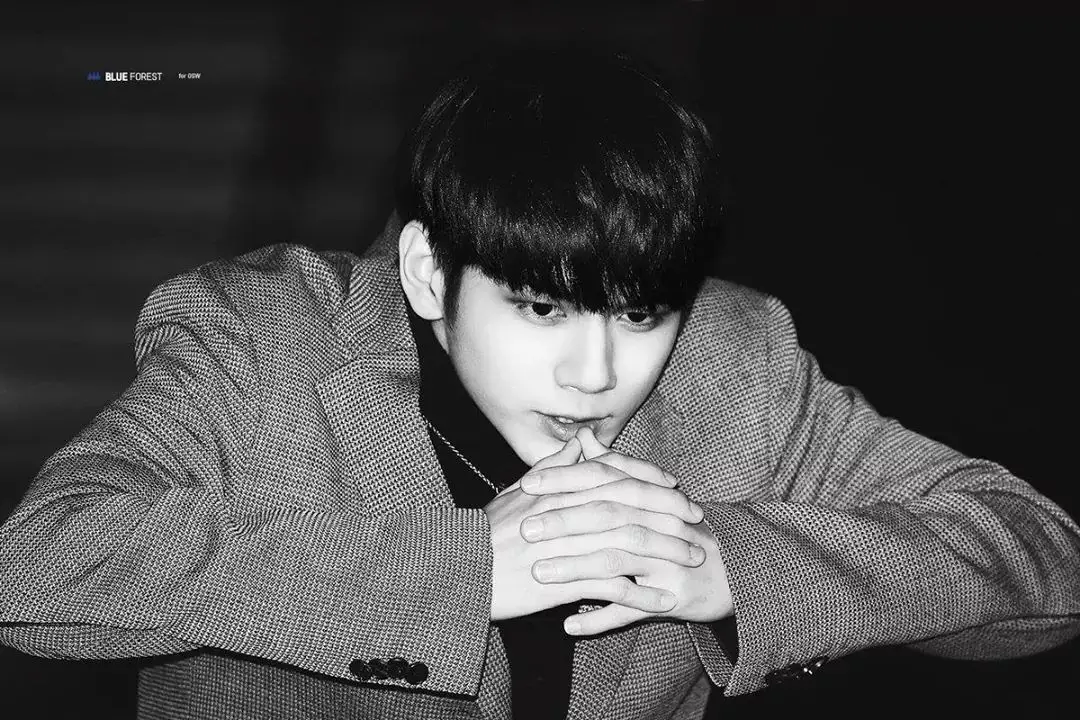 홈마