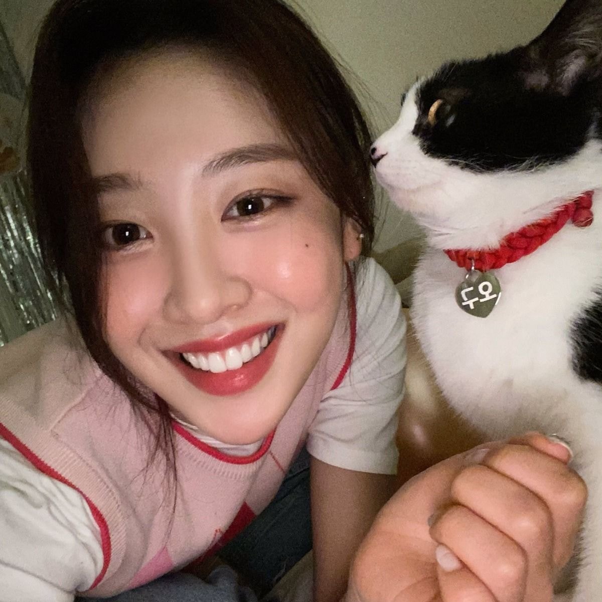 [#이브 / #Yves] 나를 엄청 싫어하는 고양이 오구랑? 그래도 난 니가 좋아...?  #이달의소녀 #LOONA