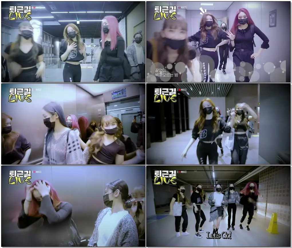 #시크릿넘버 #SECRETNUMBER [퇴근길 LIVE] 비밀둥이에게 녹아들어❤ Dance! Dance! 시크릿넘버의 퇴근길 현장??