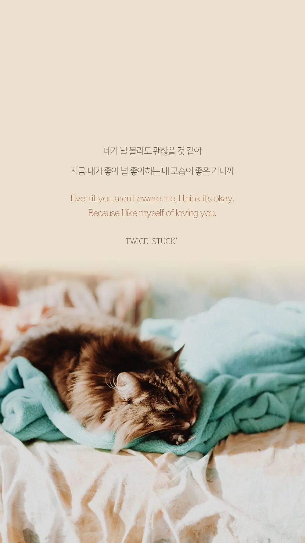 트와이스