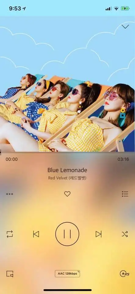 레드벨벳3