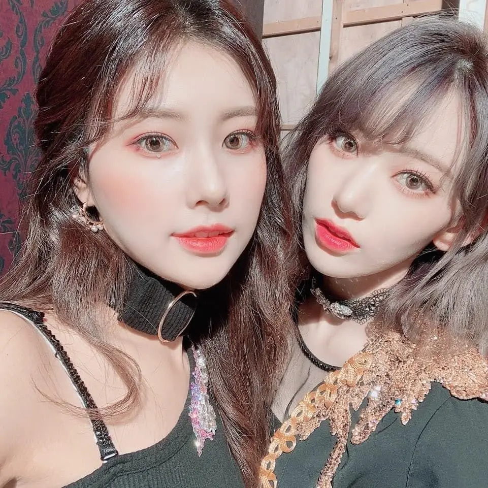 [뱀파이어] 아이즈원 강혜원 & 사쿠라.jpg