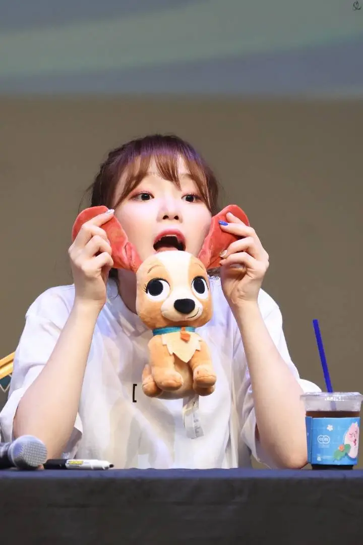 오마이걸 팬사인회.jpg