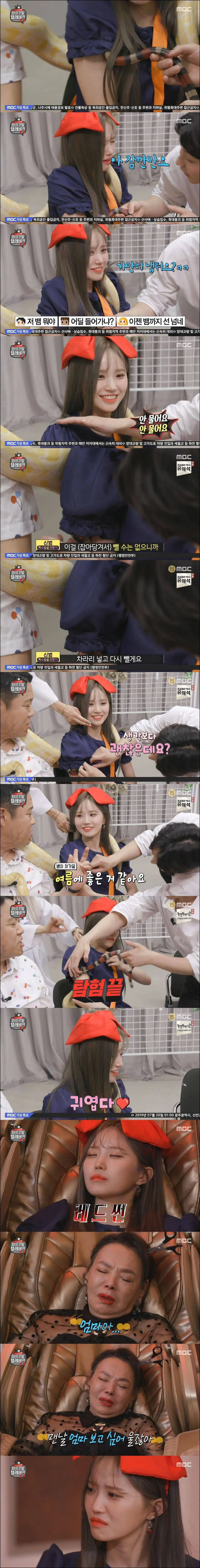 마리텔 송하영 뱀.jpg